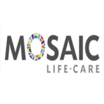Mosaicfixed_300x300